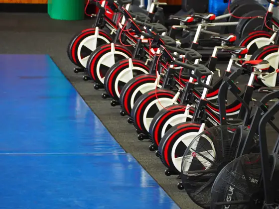 Seated & Recumbent Ellipticals