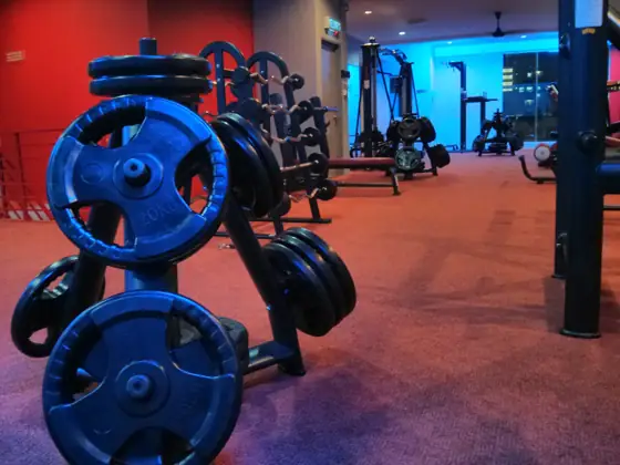 Squat Racks