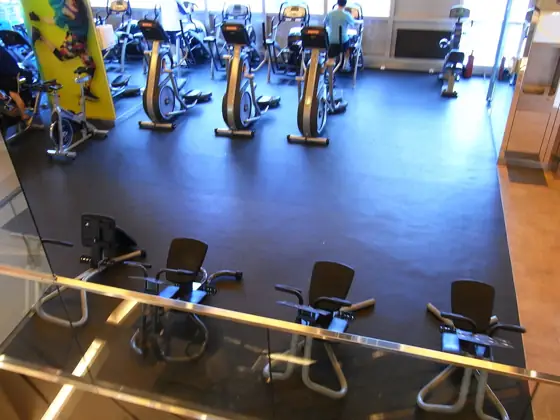 Stair Climbers & Steppers